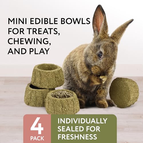 Evergreen Pet Supplies Edible Chew Bowl - Dental Support & Guinea Pig Toys - Treat Play with Edible Bowls for Rabbits - Durable Chew Toy for Small Pets - Pack of 4, Green & Brown