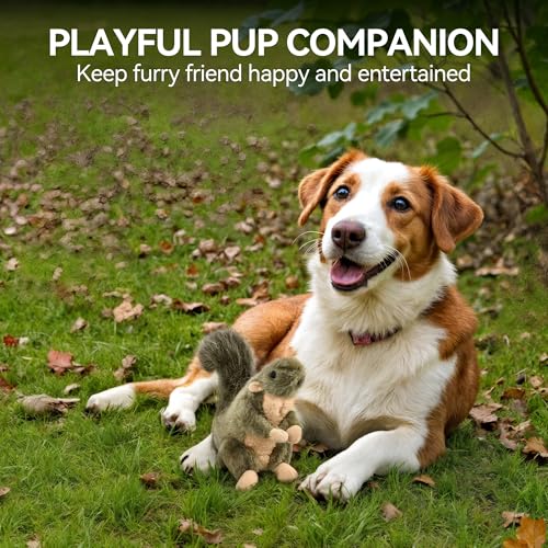 ALL FOR PAWS Squeaky Dog Toys, Plush Squirrel Dog Toy, Stuffed Animal Dog Toys for Small Medium Large Dogs, Soft Puppy Chew Toy with Squeaker - color: Squirrel(S)