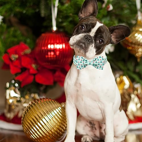ARING PET Christmas Dog Collar with Bow, Cute Xmas Green Christmas Tree Bowtie Pet Collars for Puppy Small Medium Large Girl Boy Dogs-XS - color: Christmas-Green Tree, size: X-Small (Pack of 1)