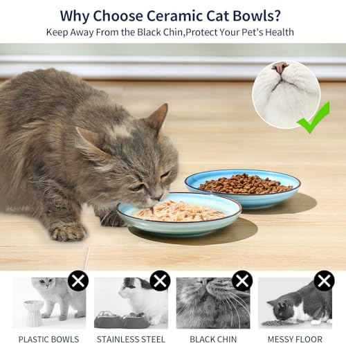 Selamica Ceramic Cat Bowls, 6 Inch Cat Food Bowl Whisker Friendly, Shallow Wide Kitten Plates for Food and Water, Set of 4, Gradient Blue - color: Gradient Blue, size: 6 Inch, Set of 4