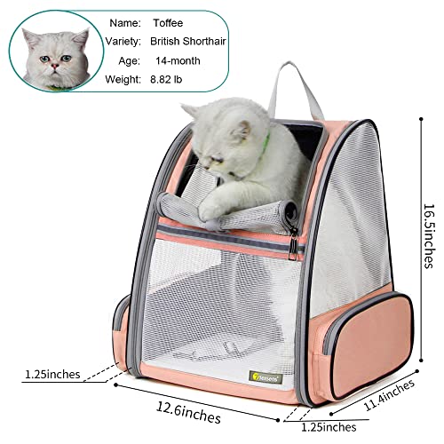Texsens Innovative Traveler Bubble Backpack Pet Carriers for Cats and Dogs - color: Mesh Pink