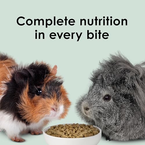 Kaytee Timothy Complete Guinea Pig Food, Made with Timothy Hay, High in Fiber, Supports Dental Health and Digestion, Long-lasting Vitamin C, 9.5 pounds - size: 9.5 Pound (Pack of 1)