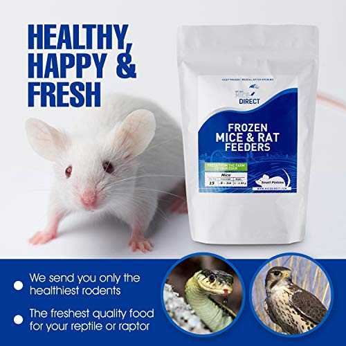 MiceDirect 30 Frozen Rat Combo Pack of 15 Larges and 15 Jumbo Feeders Snake Food for Burmese Pythons Large Monitors (8-11 in) (Pack of 30) (6750 Grams Min) - size: 9-11 in (Pack of 30)