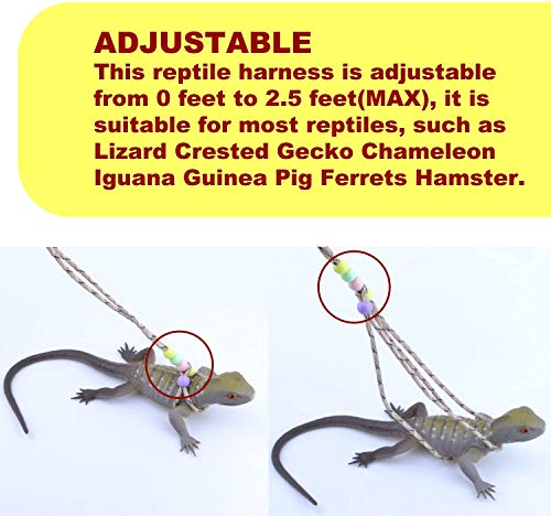Adjustable Reptile Training Lead Harness Leash Nylon Rope for Lizard Crested Gecko Chameleon Guinea Pig Ferrets Hamster Rats (Brown) - color: Brown