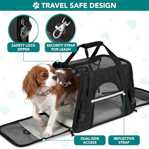PetAmi Airline Approved Pet Carrier for Cats & Small Dogs, Large, Black | Soft Sided TSA Travel Bag, Sherpa Bed, Breathable Mesh Ventilation, Collapsible Bowl, Fits Under Seat, Up to 18 lbs - color: Black, size: Large - 19.5"L x 10.2"W x 12"H