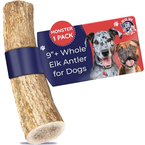 Devil Dog Pet Co Whole Elk Antlers for Dogs, Monster, Aggressive Chewers | Naturally shed Grade A Rocky Mountain elk antler, single ingredient, long lasting, 12.5 oz min, breeds 60 lb+ - style: WHOLE - Monster - 1 Pack