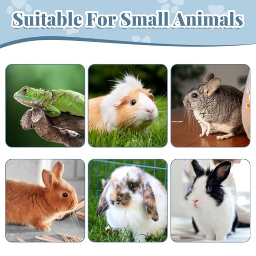 2 PCS Figure 8 Harness and Leash for Small Animals | Harness for Kittens Ferrets Rabbits Guinea Pig Chinchilla and Hamster (Blue+orange)