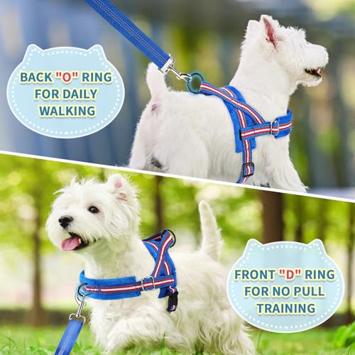 SlowTon No Pull Small Dog Harness and Leash Set with Front Clip | Soft Padded, Neck & Chest Adjustable, Lightweight, Anti-Twist, Puppy Vest Harness Pet Lead Combo for Small Medium Dog, DBL S - color: Dark Blue, size: Small
