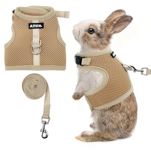 Adjustable Rabbit Harness and Leash Set Escape Proof, Beige M | Padded Vest with Magic Tape Design, Indoor/Outdoor Use (Training, Hiking) - Fits Hamsters, Rats, Iguanas, Puppies, Cats - color: Khaki, size: M