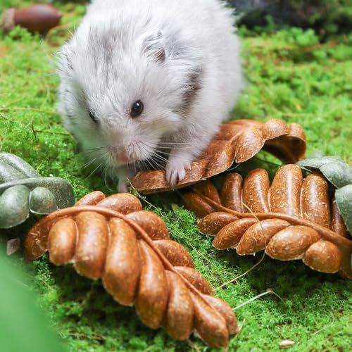 TEEWY Guinea Pig Toys, 6PCS Leaf Shaped Hamster Toys, Natural Guinea Pig Chew Toys for Teeth Grinding, Chinchilla Chew for Gerbil, Rat and Hamster - style: 6PCS-Leaf