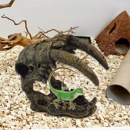 PINVNBY Reptile Resin Dinosaur Skull Decor,Crested Gecko Tank Accessories Hide Artificial Sabertooth Tiger Skull Skeleton Climbing Hideout Cave Landscape Decorations