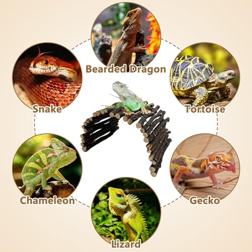 Hamiledyi 2pcs Large Reptile Hides Bearded Dragon Hide Bendable Climbing Bridge Wood Tunnel Tortoise Hut Lizard Hiding Cave for Snake Turtle Gecko Chameleon (15.8" x 7.9") - size: L-15.8 x 7.9-2 PACK