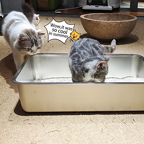 Stainless Steel Cat Litter Box,Extra Large Metal Litter Box,24Lx16x6 in | Extra Large Metal Litter Tray for Big Cats Kitty Rabbits,No Smell,Non Stick,Easy to Clean - color: 6"H, size: 24"L x 16"W