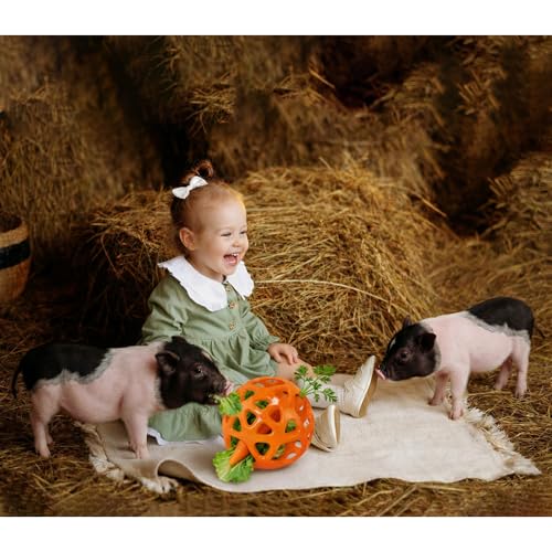Hanging Treat Dispenser Ball and Chew Toy for Mini Pigs