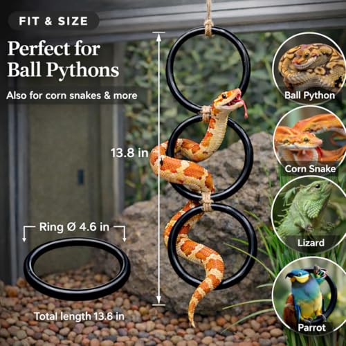 2PCS Snake Climbing Rings for Ball Python - Enrichment Toys for Corn Snake | Reptiletank Cage Decor Habitat Accessories | Terrarium, Bearded Dragon, Chameleon, Iguana, Gecko, Lizard, Parrot