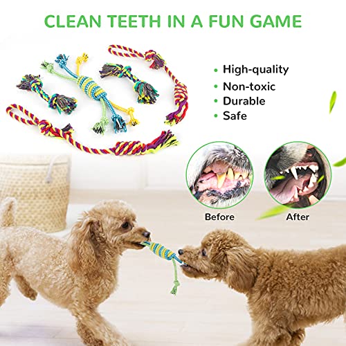 LEGEND SANDY Puppy Toys, Squeaky Dog Toys for Small Dogs, 12 Pack Puppy Chew Toys for Teething, Dog Rope Toy and Cute Stuffed Animals Value Bundle | Tug of War Toy and Cute Stuffed Animals Value Bundle, Gift fot Pet - color: 12 PACK PUPPY TOYS