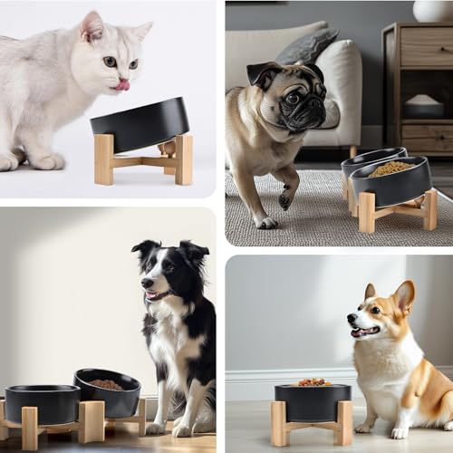 SPUNKYJUNKY 15° Slanted Ceramic Dog and Cat Bowl with Wooden Stand, Tilted Bulldog Food and Water Bowl No Slip Non-Spill for Cats Medium Dogs Big Face Pets 28.7 OZ (3.6 Cups, Black) - color: Black, size: 3.6 CUPS × 1