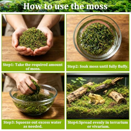 Riare 1.3LB Sphagnum Moss for Reptiles- 50QT Natural Reptile Moss Bedding | Moisture Retaining, Terrarium Moss Reptile Substrate for Tortoises, Turtle, Snakes, Leopard Geckos, Frogs, Orchids Plants - color: 1.3LBS