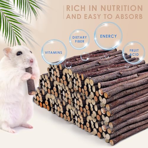 Bissap Apple Sticks for Rabbits, Natural Bunny Chew Toys and Treats for Chinchilla Guinea Pig Hamster Gerbil Small Animals Pet Apple Wood Stick Toys Teeth Grinding (940g/2lb) - size: 940g/2lb