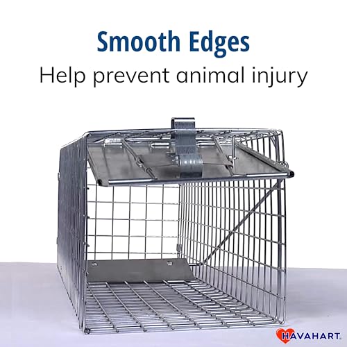 Havahart Medium 1-Door Live Animal Trap, Galvanized Steel Cage | Humane Catch and Release for Rabbit, Skunk, Mink, and Squirrel, Spring-Loaded Door, 1078SR