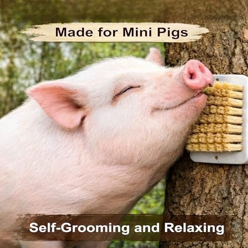2 Pack Pig Scratch Brush for Mini Pigs, Self-Grooming Brush for Fence or Tree, Pig Enrichment Scratch Post, Outdoor Pet Grooming Tool