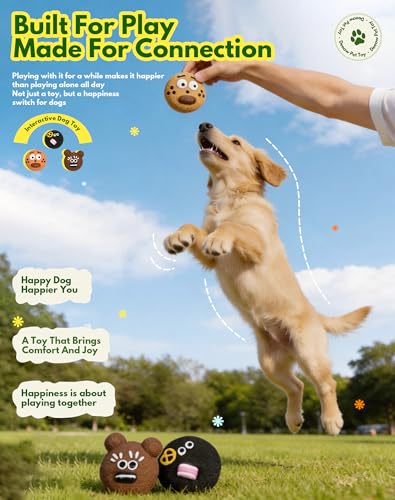 Soft Biscuit-faced Latex Dog Toys, 3 in 1 Set Squeaky Funny Face Pet Toys for Small Medium Dogs, Cute Cartoon Expression Puppy Chew Toy, Interactive Pet Toys for Indoor Enrichment Play & Teething - style: Cookie