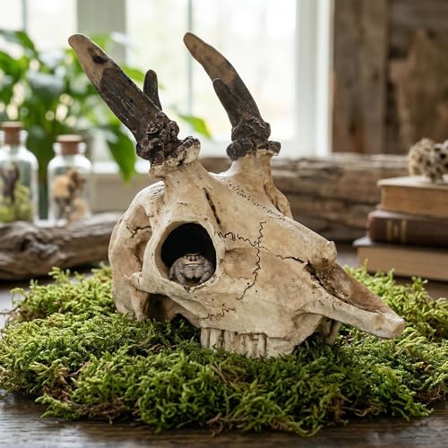 Mini Deer Skull Reptile Hide, Resin Tank Decor for Geckos, Snakes & Spiders | Realistic resin deer skull for terrarium décor; compact cave opening suits spiders, ants, Dubia roaches and other tiny pets.