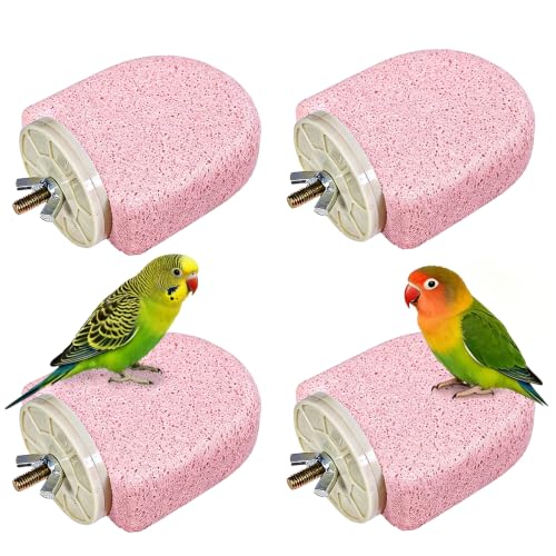 4PCS Bird Beak Grinding Stone,Parrot Perch Stands,Parakeets Platform Chewing Toys Calcium Pumice Lava Foot Claws Trimmer Climbing Ledge for Cockatiel Budgie Conure Lovebird(Pink) - color: 4Pack Pink | S