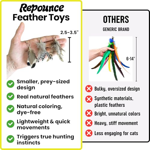 Forever Stick and 9 Cat Feather Toy Refills - The Unbreakable Cat Wand Toy, Durable Cat Toy Wand, Extra Long Cat String Toy, Cat Fishing Pole Toy for Bored Indoor Adult Cats, Cat Stick Toy - size: Forever Stick and 9 Feather Toys