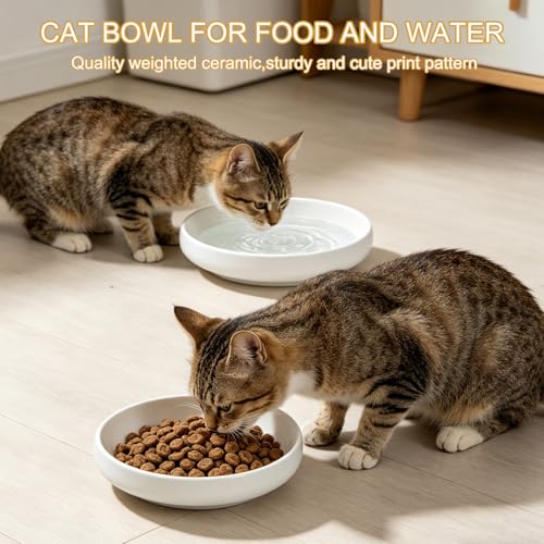 Shallow Elevated Cat Bowls with Bamboo Stand, 6.1 Inch Wide Ceramic Cat Dish Whisker Friendly, 2 Pack Pet Food and Water Plates - color: White elevated
