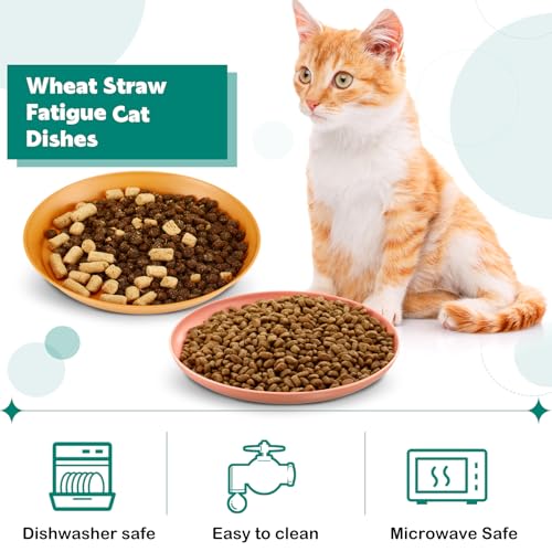 Gerrii 24 Pieces Fatigue Relief Cat Bowl 6 Inch Shallow Cat Food Dish Stray Wet Feeding Bowls Wide and Small Pet Plates for Ferrets Feral Short Legged Kitten Shelter(Assorted Color,Convention) - color: Assorted Color, style: Classic
