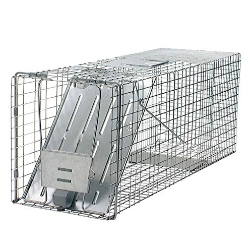 Havahart Large 1-Door Live Animal Trap for Raccoons, Cats, Bobcats, Beavers | Heavy Duty Humane Catch and Release Cage Trap for Outdoor Pest Control, 1079SR