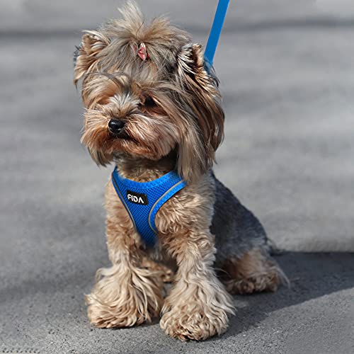 Fida Comfy Dog Harness with Leash, Soft Puppy Vest Escape Proof, Breathable Lightweight Soft Mesh, Adjustable Reflective Step-in Harness for Small Pet Walking (S, Blue) - color: Blue, size: S (Neck:12.6"-13.8"; Girth:16.1"-17.7")