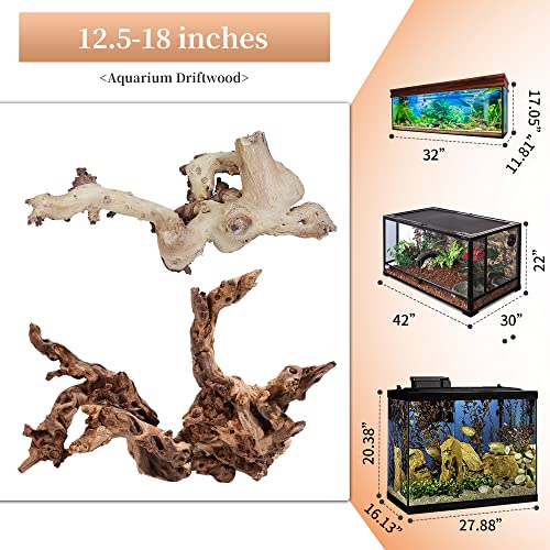 Natural Large Driftwood for Aquarium Decor Fish Tank Decor Reptile Decor | Assorted Driftwood Branch, Natural Driftwood for Aquascaping and Reptile Decor - size: Mopani Driftwood 12.5 to 18 Inch (Pack of 2)