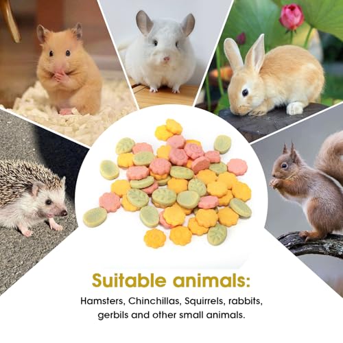 Abizoo 3 Vegetable Chews Treats: Grain Free Natural Snacks with Beet, Carrot, Spinach for Hamsters, Rabbits, Guinea Pigs & Gerbils Crunchy for Digestive Support & Dental Health 1.76oz/50g