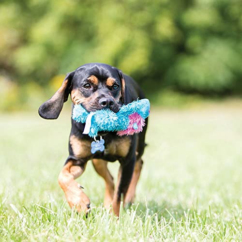 Kong Cozie Ali Alligator Plush Dog Toy, for Medium Dogs | Soft Indoor Cuddle Plush Toy with a Squeaker & Minimal Stuffing, Great for Snuggling & Gentle Indoor Play - size: Medium, style: Ali the Alligator