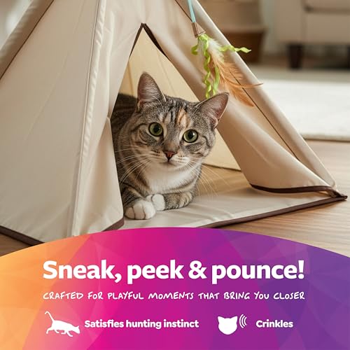 SmartyKat Kitty Camp Crinkle Cat Tent Hideaway, Collapsible Tent with Detachable Feather Toy for Privacy & Play for Cats & Kittens, Beige, One Size - style: Kitty Camp Tent