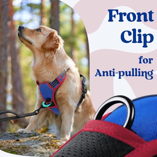 rabbitgoo Dog Harness Small Sized, Updated Easy On & Off with 3 Buckles | No Pull No Choke, Walking with 2 Clips and Handle, Adjustable Soft Reflective, Blue & Red, Small - color: Blue & Red, size: Small