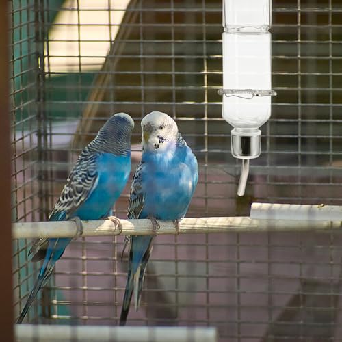 FENICAL Pet Cage Water Bottle, 11.8OZ Hanging Pet Drink Dispenser, Plastic | 2pcs Small Animal Water Feeder Bottle, Auto Feeding Crate Water Jar Chew-Proof, No Mess, Leakproof for Guinea Pig Hamster - size: 23.00X5.50X5.20CM