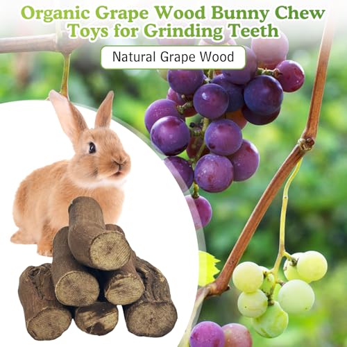 PINVNBY 12 PCS Rabbit Chew Toys Natural Grape Wood Bunny Chew Sticks for Teeth Grinding Guinea Pig Molar Treats Snack for Chinchilla Hamster Gerbil and Other Small Animals