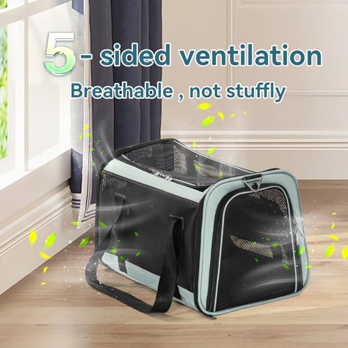 Petsfit Soft-Sided Cat Carrier,18 x 11 x 11 Pet Carrier | Airline Approved, Lightweight and Collapsible, Ventilation on 5 sides, Escape Proof, Adjustable Shoulder Strap & Soft Cushion - color: Z-Cyan blue, size: 18.0"L x 11.0"W x 11.0"H