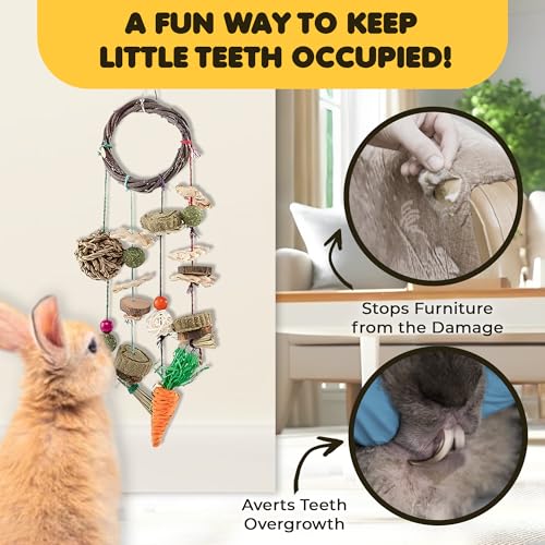 SunGrow Cage Hanging Rabbit Chew Toy, Handwoven Space-Saving Enclosure Accessory, Wooden Discs, Loofah Slices, Grass Ball & Compressed Hay, for Bunnies, Guinea Pigs, and Chinchillas, 17” x 7”, 1 Set