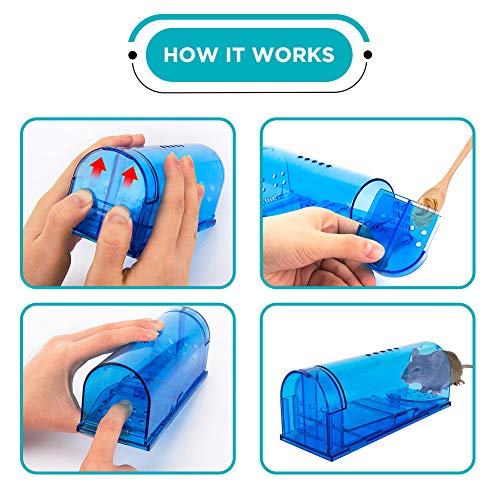 Blinc [6-Pack] Humane Mouse Trap - Catch and Release No-Kill Rodent Traps for Indoors & Outdoors - Safe for Children & Pets - Reusable Mouse Catcher for Kitchen, Pantry & Garage (Transparent Blue) - size: 6 Pack