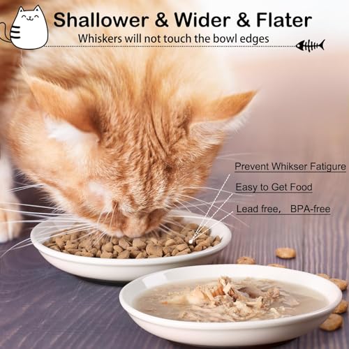 WROSWT Cat Food Bowl,Healthy Ceramic Cat Bowls for Indoor Cats,Anti Whisker Fatigue Cats Dishes Set,Shallow Wide Kitten Plates for Food and Water,Non-Slip Silicone Bottom,3 Pack - size: Shallower-3 Pack