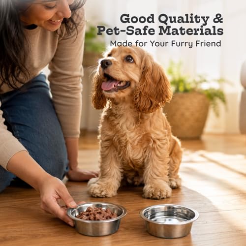 2 Pack Shallow Stainless Steel Cat & Dog Bowls, 2 Cup (16oz) Each, Heavy Duty Small Pet Only Puppy Kitten & Birds Feeder Replacement Bowl, Rust Resistant Metal Cat Dishes for Food & Water - size: 2 Cup (16oz)