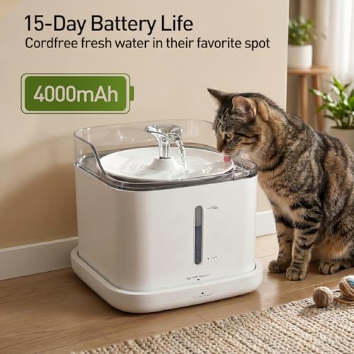 Cat Water Fountain, 2.2L Automatic Pet Water Fountain for Cats and Small Dogs, 2.4GHz WiFi App Control, Rechargeable Motion Sensor, 3 Water Modes, Detachable Tank, White - color: WHITE