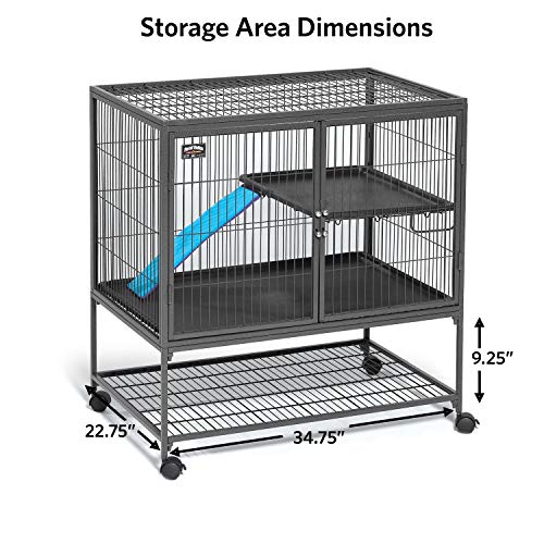 MidWest Homes for Pets Ferret Nation Single Unit Small Animal Cage, 2 Tiers, Includes Pan, Shelf, Ramp & Cover, for Ferrets & Other Small Animals - color: Black: 1 Inch Wire Spacing: Ferret Nation, size: Single Story
