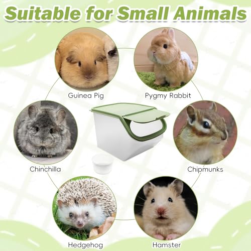PINVNBY Chinchilla Sand Bath Box Gerbil Transparent Bathroom Chinchillas Plastic Dust Bath House with Sand Cup for Guinea Pig Hedgehog Squirrel and Other Small Animals(Green - color: green
