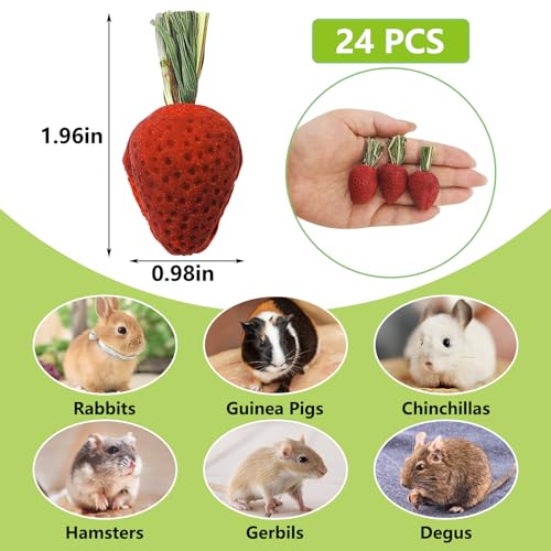 Fhiny Rabbit Chew Toys, 24 PCS Natural Hamster Molar Snacks Handmade Small Animal Chew Toys for Teeth Timothy Hay Treats Habitat Decor for Bunny Guinea Pig Chinchilla Hamster Gerbil Dental Care - size: 24 PCS