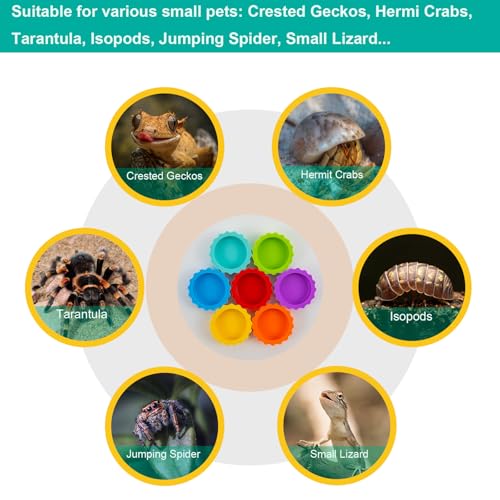 7 Pack Crested Gecko Food and Water Bowl, Eudimysx Reusable Small Reptile Feeding Dish, Gecko Tank Accessories for Hermit Crab, Tarantula, Isopods, Snails and Lizard, Silicone Easy Clean & 7 Colors - color: 7Pack